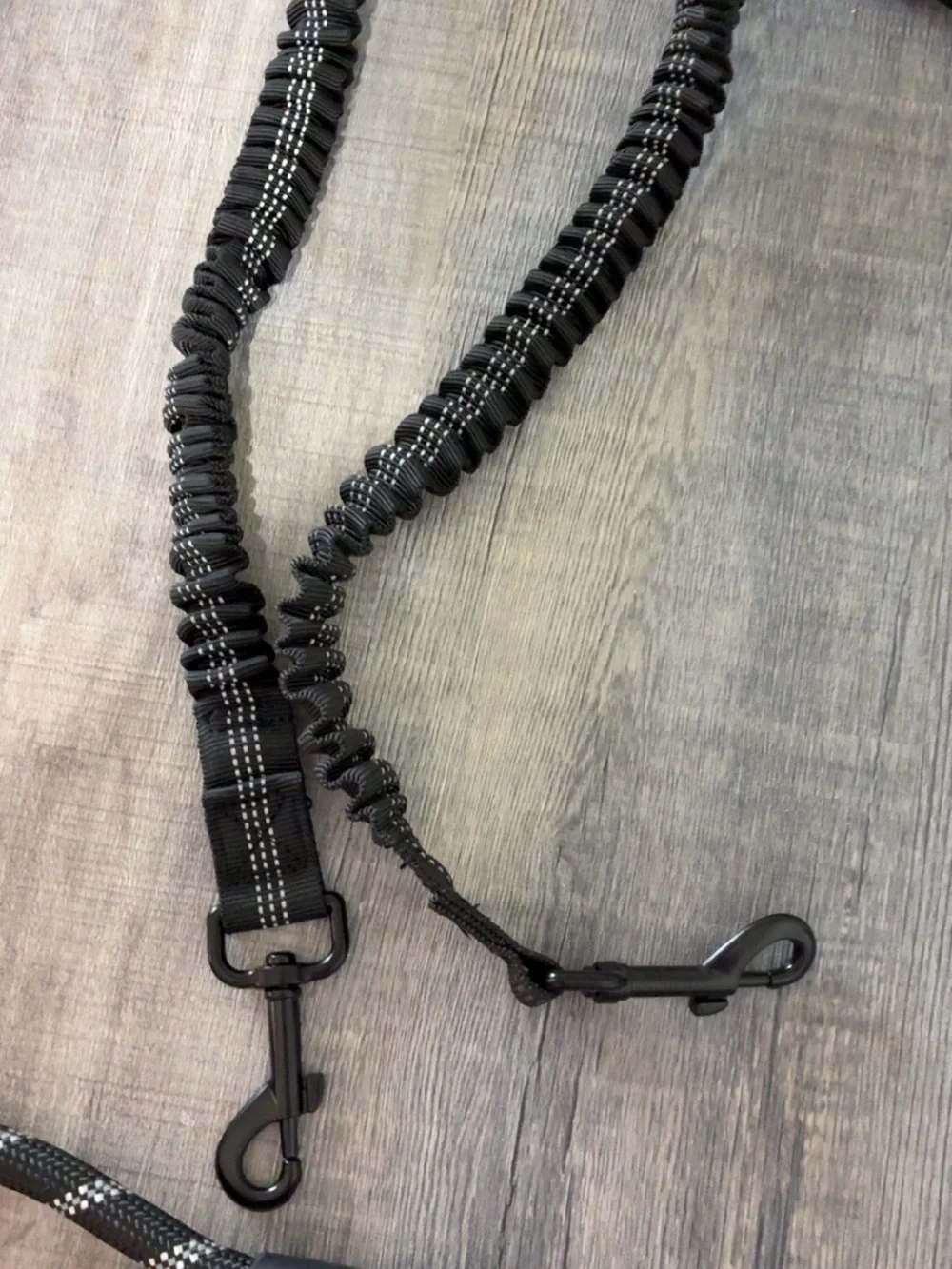 Nwot double dog leash